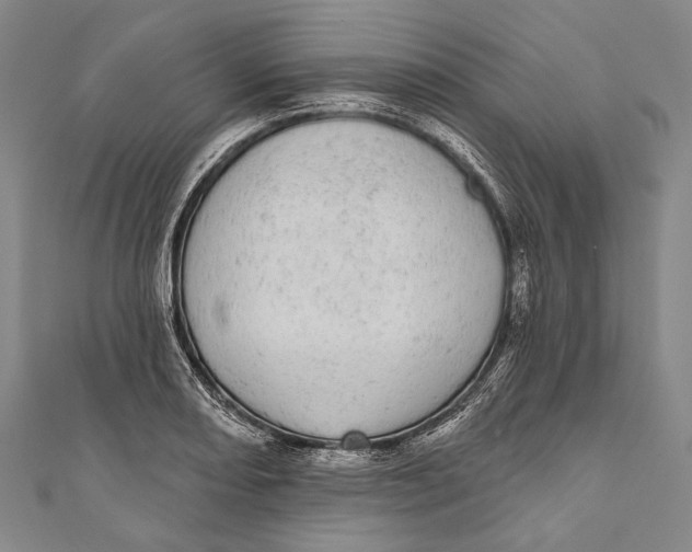 X0000110961082200907101322