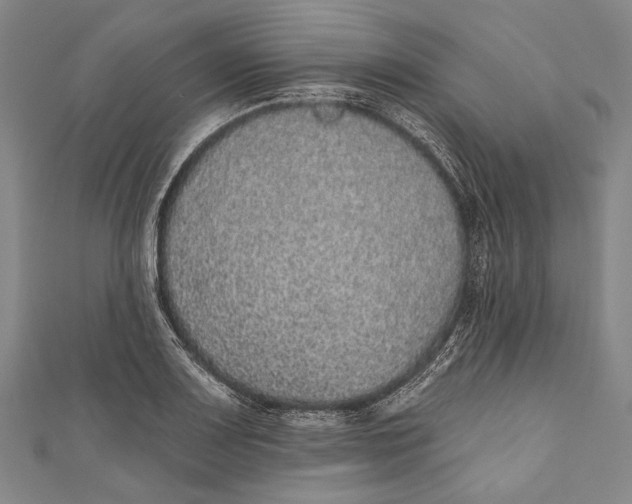 X0000110961083200907101322