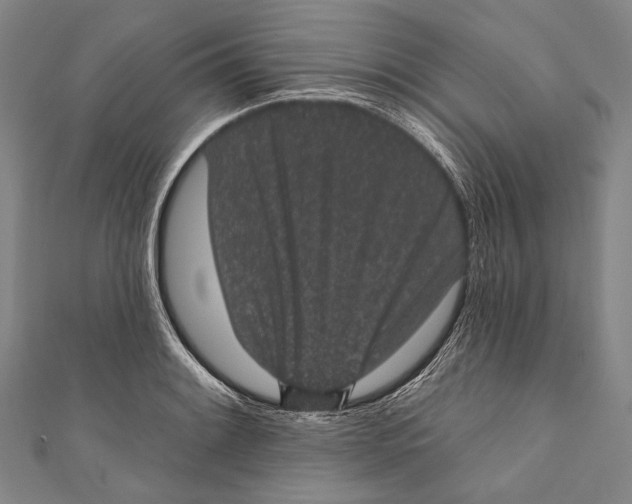 X0000110961084200907101322