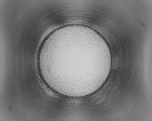 X0000110961086200907101322