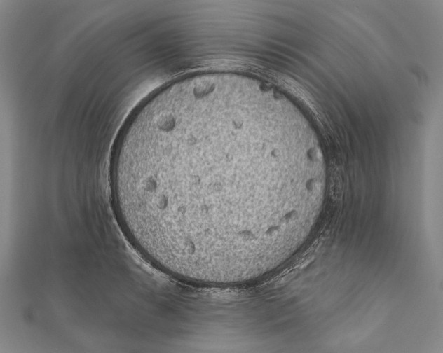 X0000110961087200907101322