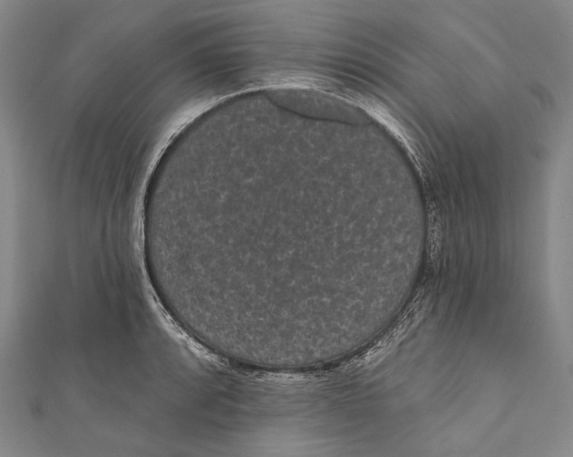 X0000110961088200907101322