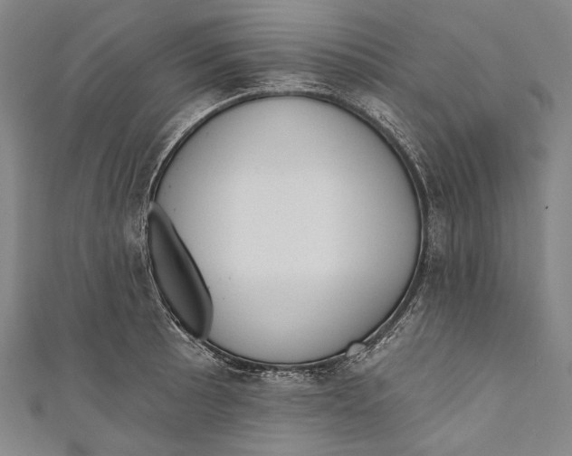 X0000110961089200907101322