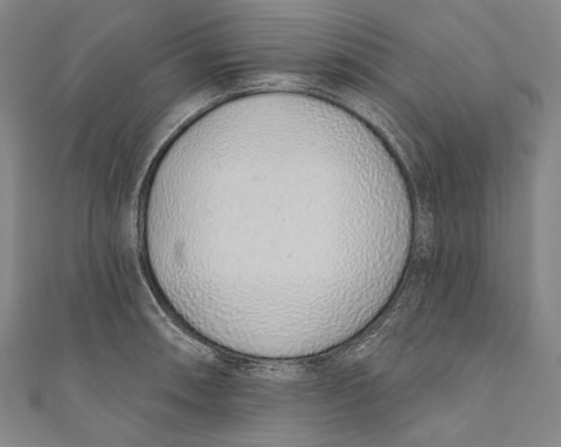 X0000110961090200907101322