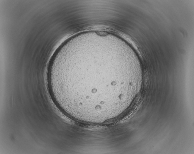 X0000110961091200907101322