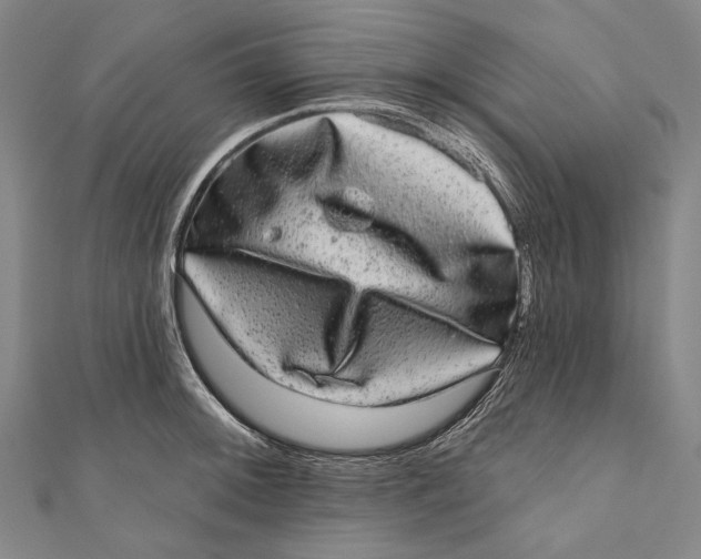 X0000110961092200907101322