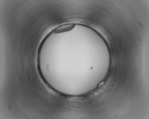 X0000110961093200907101322