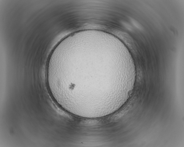 X0000110961094200907101322