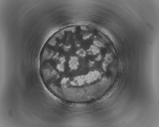 X0000110961095200907101322