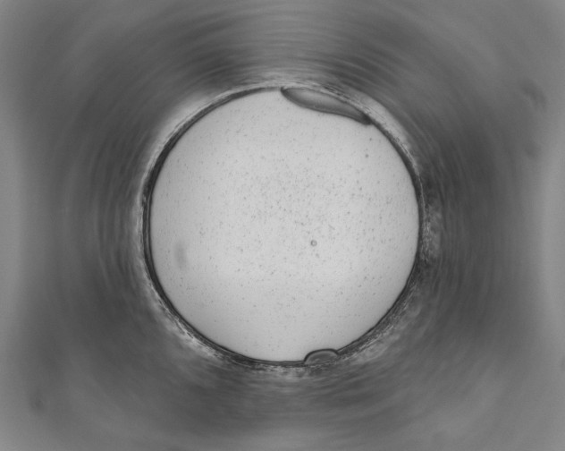 X0000110961096200907101322