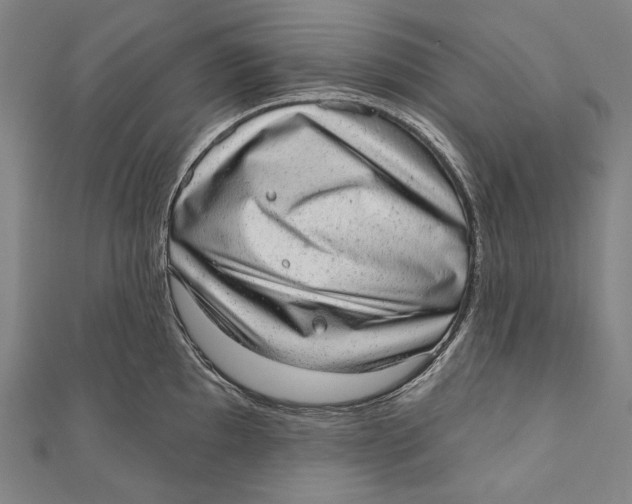 X0000110961097200907101322