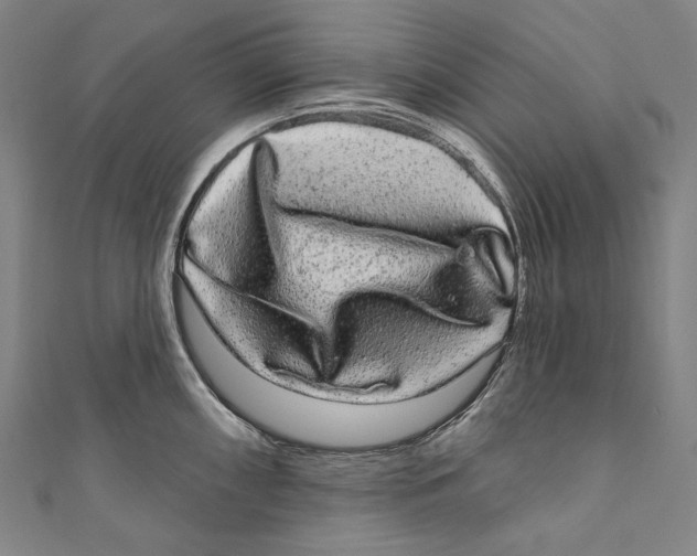 X0000110961098200907101322