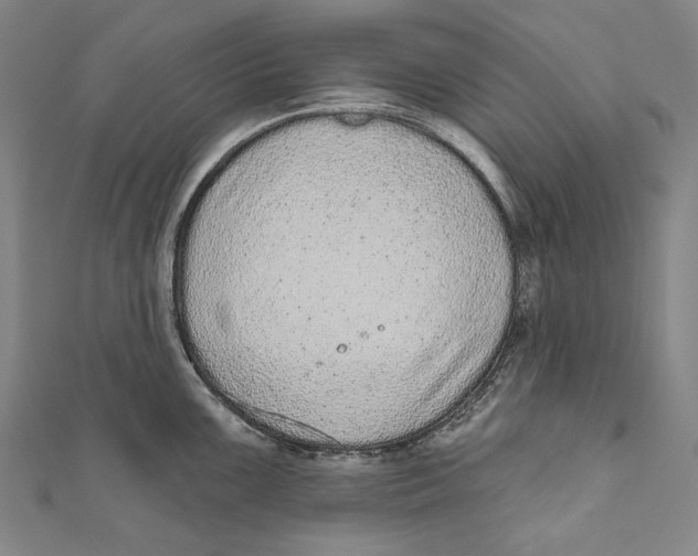 X0000110961099200907101322