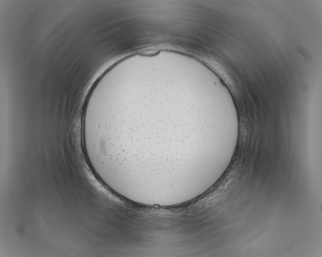 X0000110961100200907101322