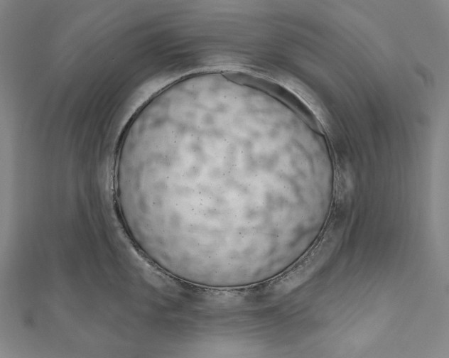 X0000110961101200907101322