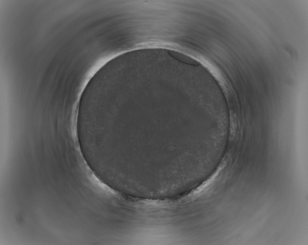 X0000110961102200907101322