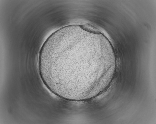 X0000110961103200907101322