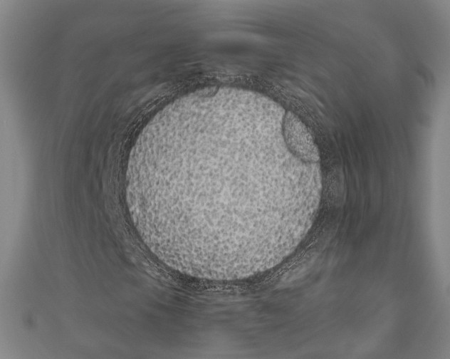 X0000110961105200907101322