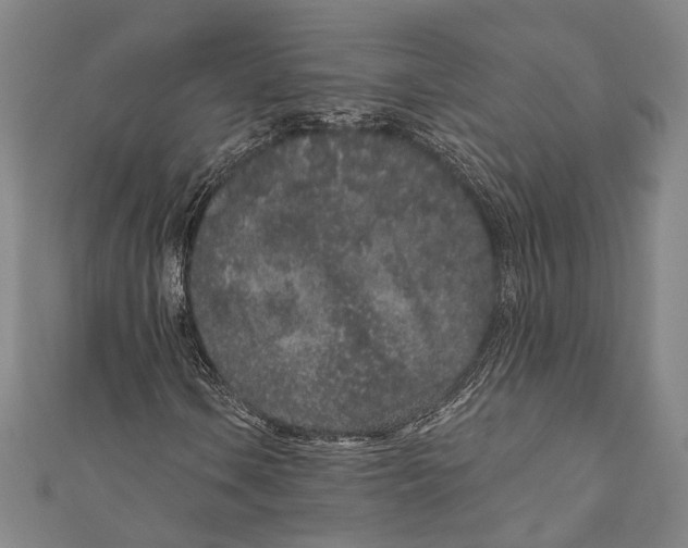 X0000110961106200907101322