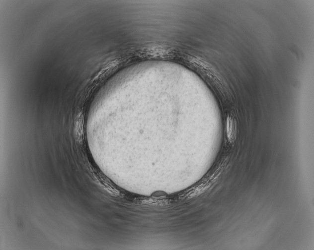 X0000110961107200907101322