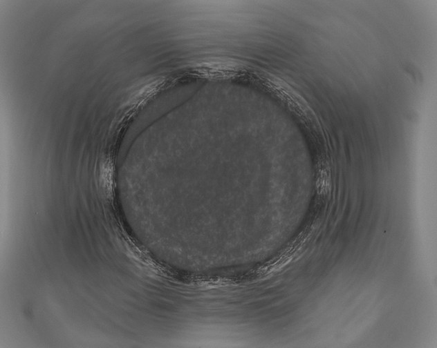 X0000110961108200907101322