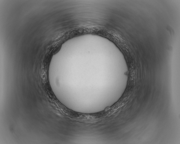 X0000110961109200907101322