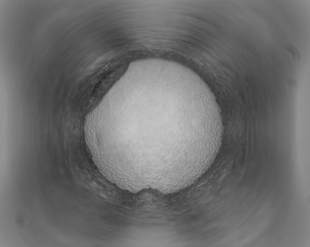 X0000110961110200907101322