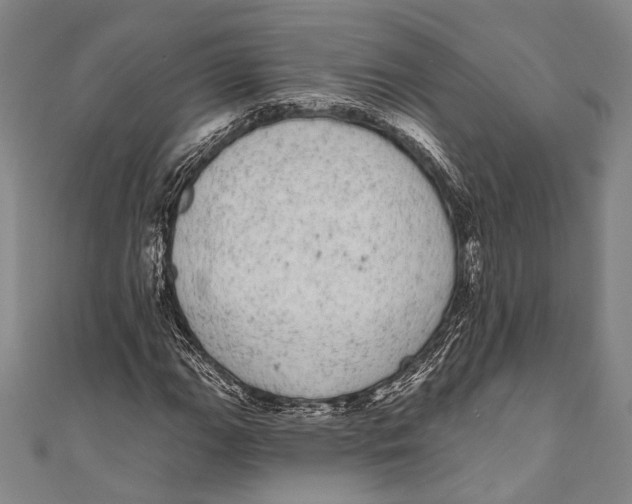 X0000110961111200907101322