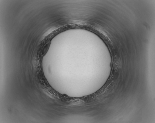 X0000110961112200907101322