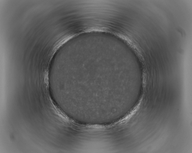 X0000110961113200907101322