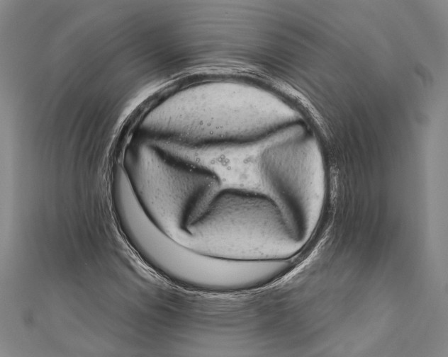 X0000110961114200907101322