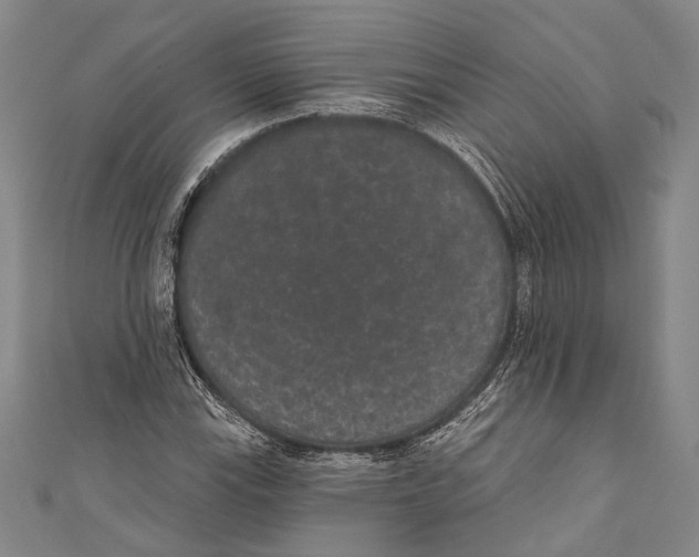 X0000110961115200907101322