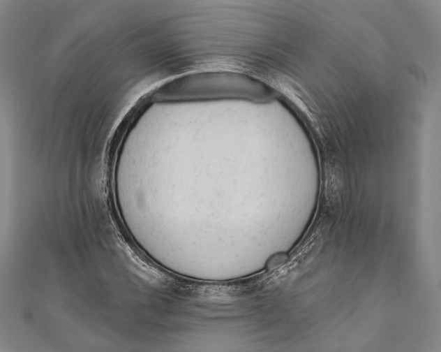 X0000110961116200907101322