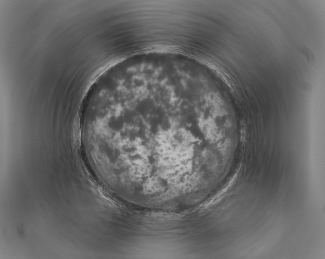 X0000110961117200907101322