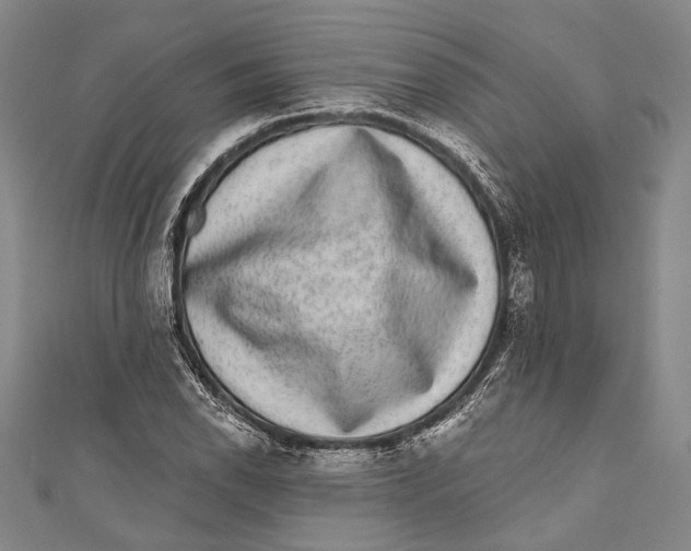 X0000110961118200907101322