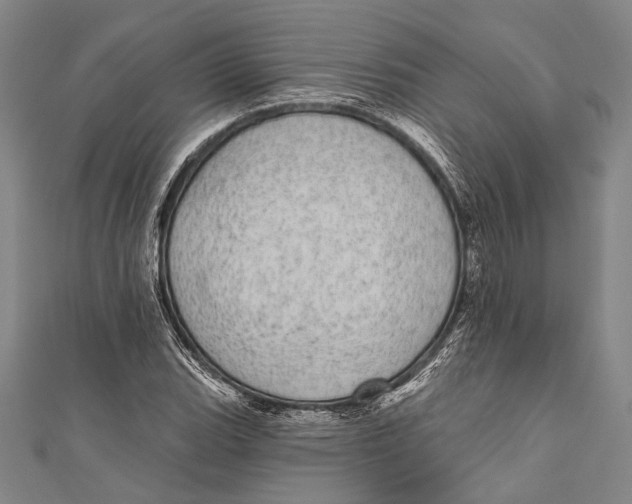 X0000110961119200907101322