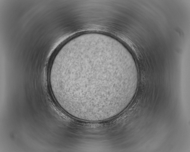 X0000110961120200907101322