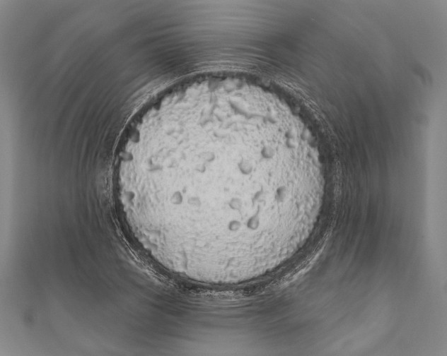 X0000110961121200907101322