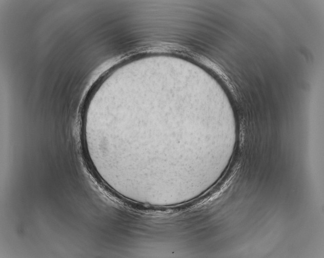 X0000110961122200907101322