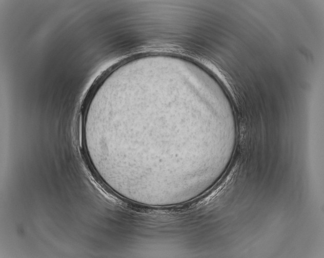 X0000110961123200907101322