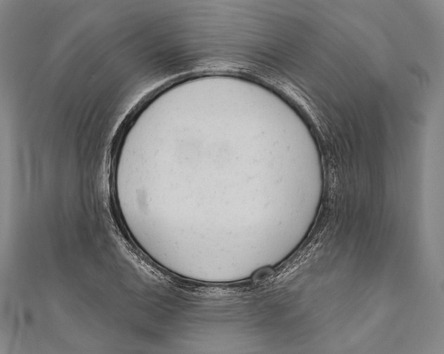 X0000110961124200907101322