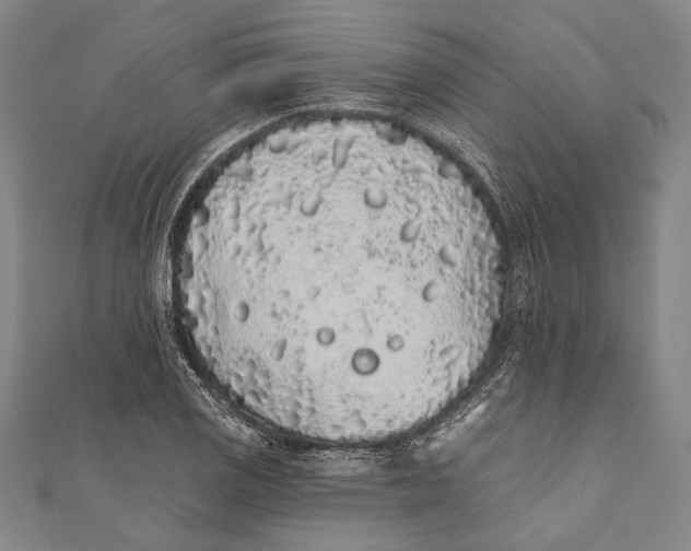 X0000110961125200907101322