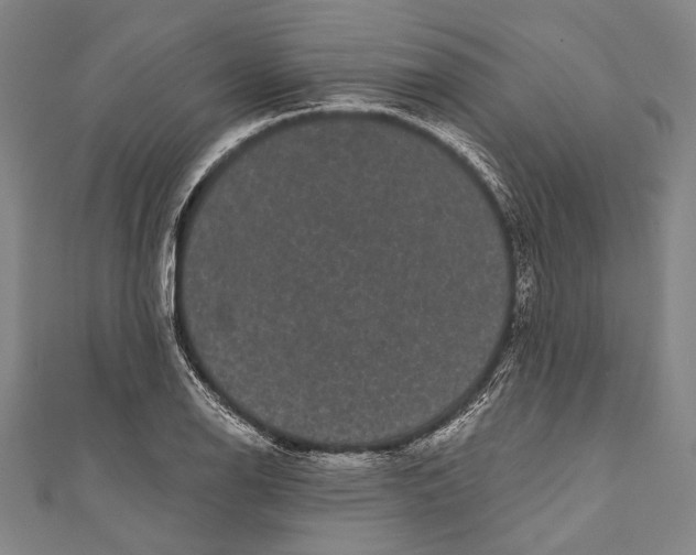 X0000110961126200907101322