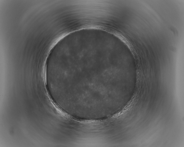 X0000110961127200907101322