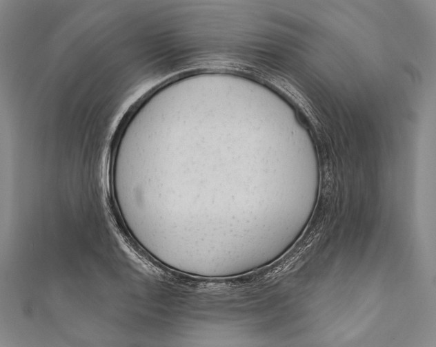 X0000110961128200907101322