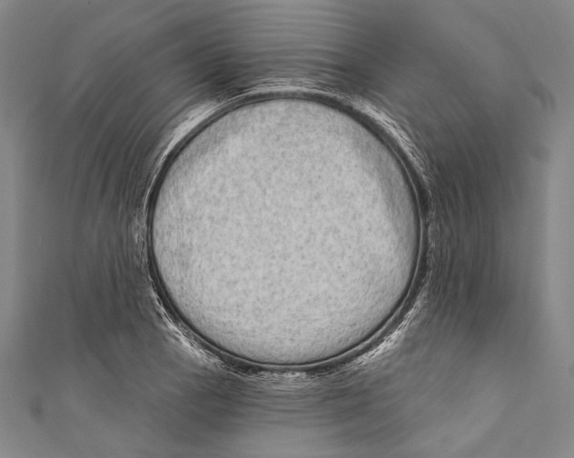 X0000110961129200907101322