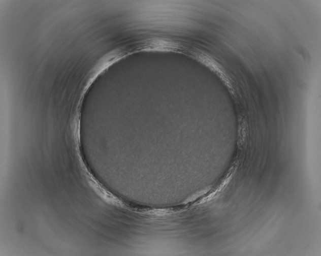 X0000110961130200907101322