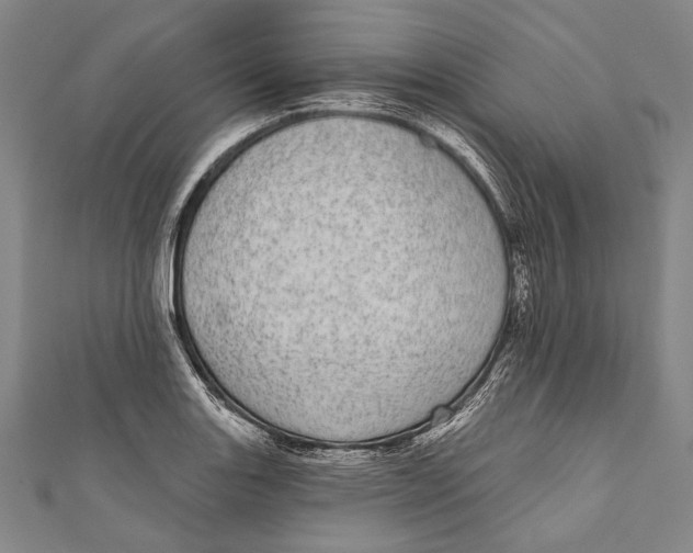 X0000110961131200907101322