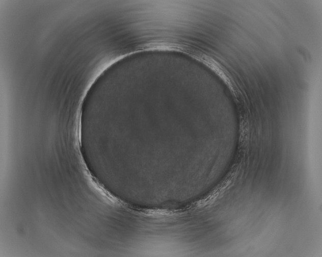 X0000110961132200907101322