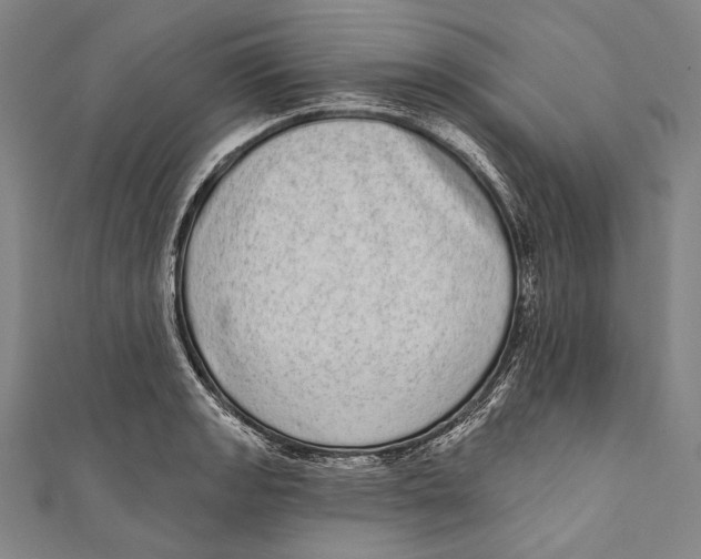 X0000110961133200907101322